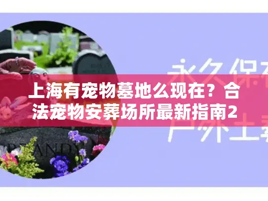 上海有宠物墓地么现在？合法宠物安葬场所最新指南2025