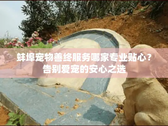 蚌埠宠物善终服务哪家专业贴心？告别爱宠的安心之选