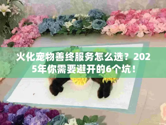 火化宠物善终服务怎么选？2025年你需要避开的6个坑！