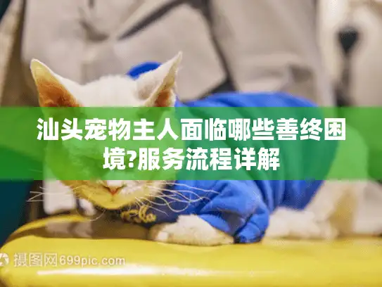 汕头宠物主人面临哪些善终困境?服务流程详解