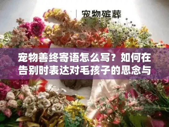 宠物善终寄语怎么写？如何在告别时表达对毛孩子的思念与感谢？