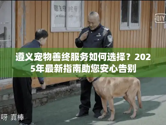 遵义宠物善终服务如何选择？2025年最新指南助您安心告别