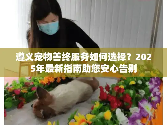 遵义宠物善终服务如何选择？2025年最新指南助您安心告别