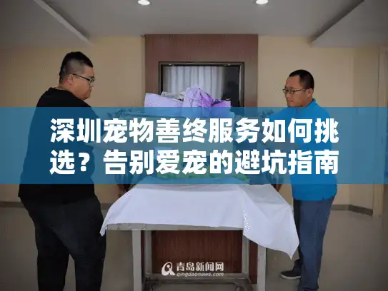 深圳宠物善终服务如何挑选？告别爱宠的避坑指南