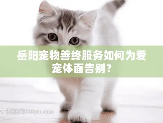 岳阳宠物善终服务如何为爱宠体面告别？