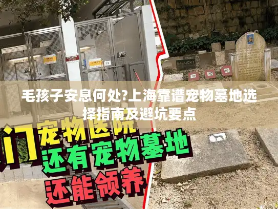 毛孩子安息何处?上海靠谱宠物墓地选择指南及避坑要点