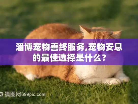 淄博宠物善终服务,宠物安息的最佳选择是什么？