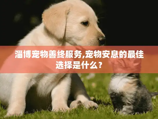 淄博宠物善终服务,宠物安息的最佳选择是什么？