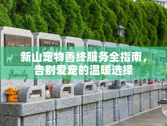 新山宠物善终服务全指南，告别爱宠的温暖选择
