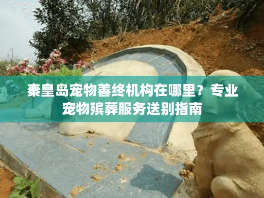 秦皇岛宠物善终机构在哪里？专业宠物殡葬服务送别指南
