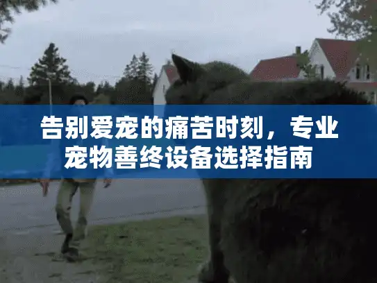 告别爱宠的痛苦时刻，专业宠物善终设备选择指南
