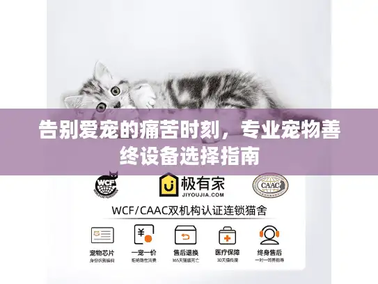 告别爱宠的痛苦时刻，专业宠物善终设备选择指南