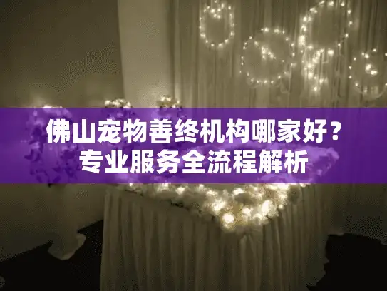 佛山宠物善终机构哪家好？专业服务全流程解析