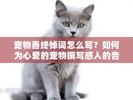 宠物善终悼词怎么写？如何为心爱的宠物撰写感人的告别词