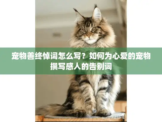 宠物善终悼词怎么写？如何为心爱的宠物撰写感人的告别词