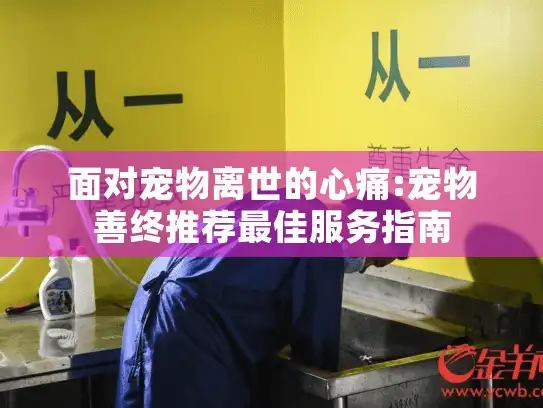 面对宠物离世的心痛:宠物善终推荐最佳服务指南