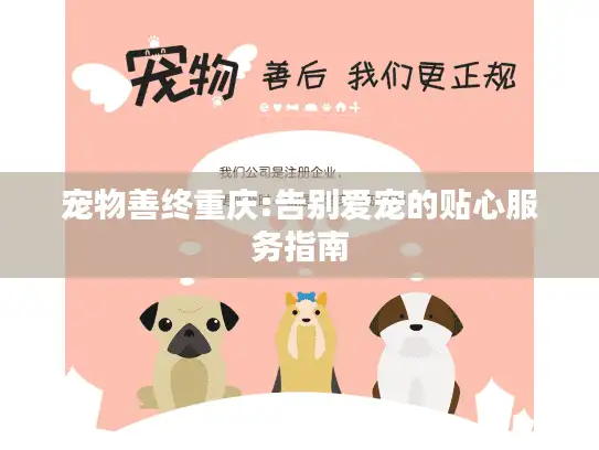 宠物善终重庆:告别爱宠的贴心服务指南