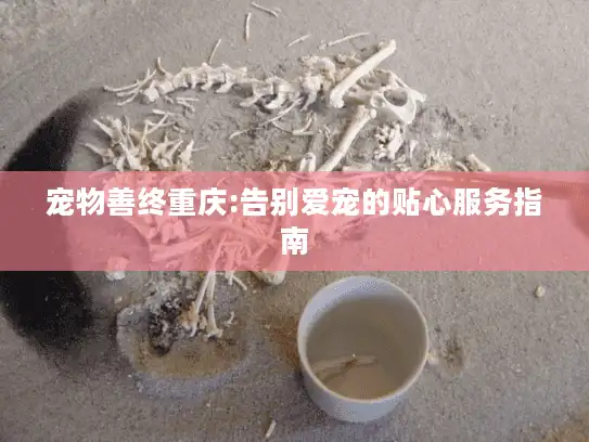 宠物善终重庆:告别爱宠的贴心服务指南