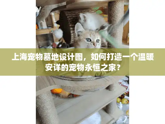 上海宠物墓地设计图，如何打造一个温暖安详的宠物永恒之家？