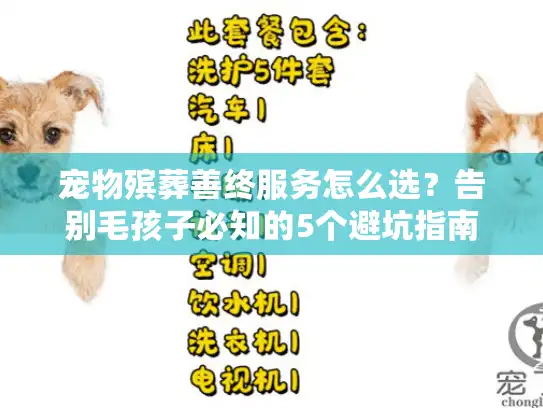 宠物殡葬善终服务怎么选？告别毛孩子必知的5个避坑指南