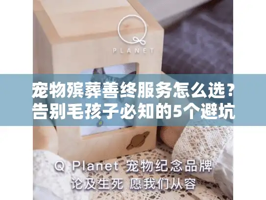 宠物殡葬善终服务怎么选？告别毛孩子必知的5个避坑指南