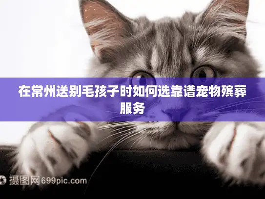 在常州送别毛孩子时如何选靠谱宠物殡葬服务
