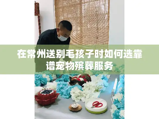 在常州送别毛孩子时如何选靠谱宠物殡葬服务