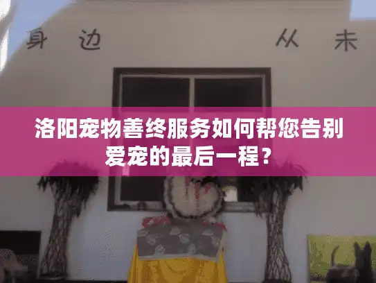 洛阳宠物善终服务如何帮您告别爱宠的最后一程？
