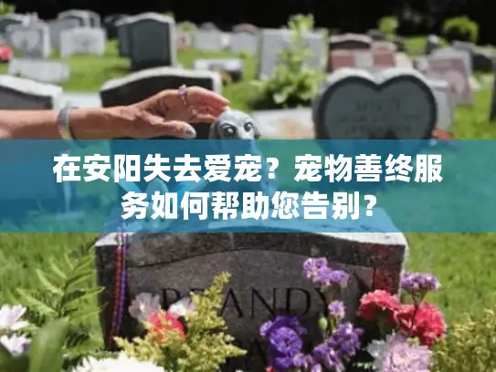在安阳失去爱宠？宠物善终服务如何帮助您告别？