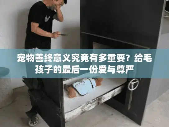 宠物善终意义究竟有多重要？给毛孩子的最后一份爱与尊严