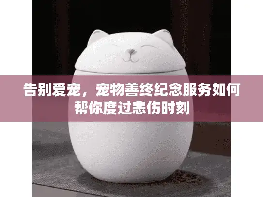告别爱宠，宠物善终纪念服务如何帮你度过悲伤时刻