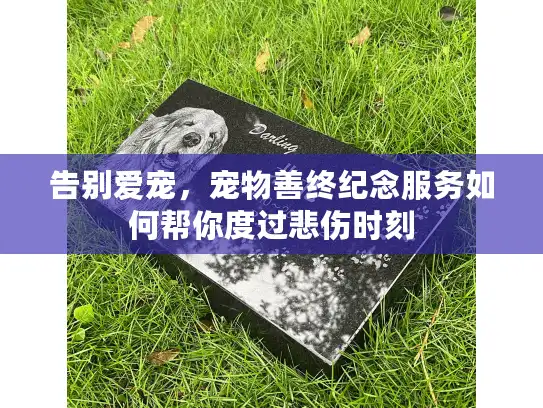 告别爱宠，宠物善终纪念服务如何帮你度过悲伤时刻