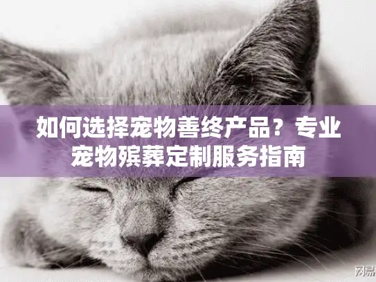 如何选择宠物善终产品？专业宠物殡葬定制服务指南