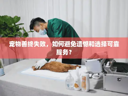 宠物善终失败，如何避免遗憾和选择可靠服务？