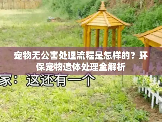 宠物无公害处理流程是怎样的？环保宠物遗体处理全解析
