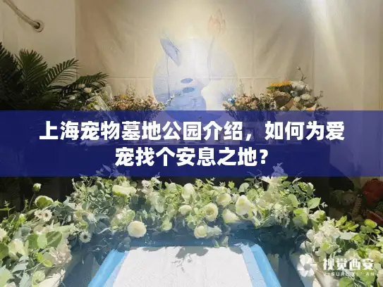 上海宠物墓地公园介绍，如何为爱宠找个安息之地？