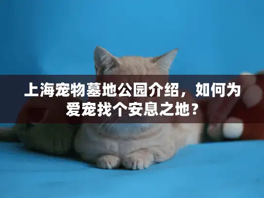 上海宠物墓地公园介绍，如何为爱宠找个安息之地？