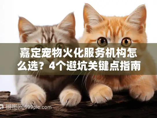 嘉定宠物火化服务机构怎么选？4个避坑关键点指南