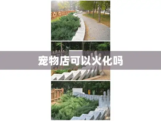 宠物店可以火化吗