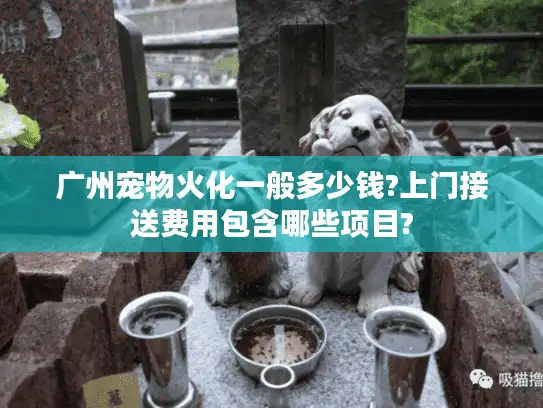 广州宠物火化一般多少钱?上门接送费用包含哪些项目?