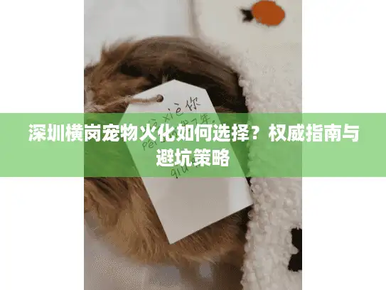 深圳横岗宠物火化如何选择？权威指南与避坑策略