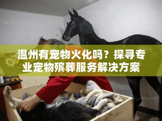 温州有宠物火化吗？探寻专业宠物殡葬服务解决方案