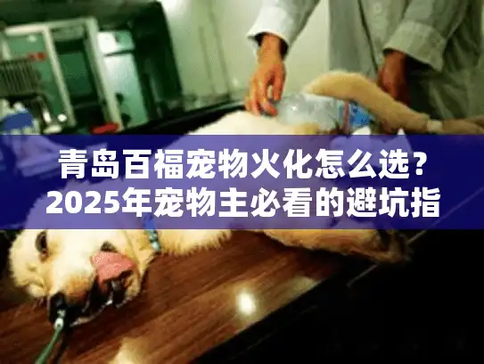 青岛百福宠物火化怎么选？2025年宠物主必看的避坑指南