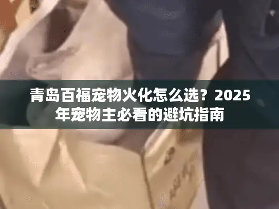 青岛百福宠物火化怎么选？2025年宠物主必看的避坑指南