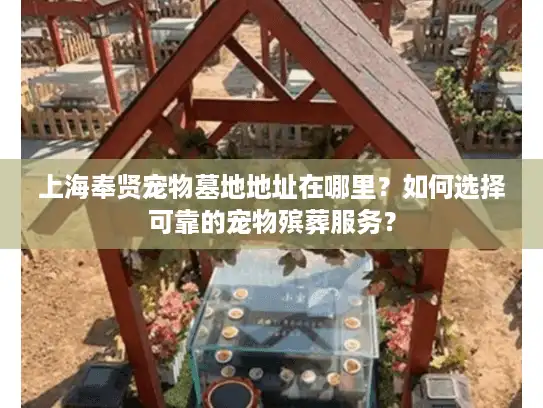 上海奉贤宠物墓地地址在哪里？如何选择可靠的宠物殡葬服务？