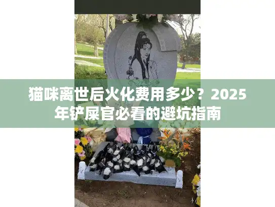 猫咪离世后火化费用多少？2025年铲屎官必看的避坑指南