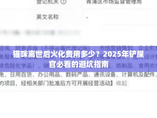 猫咪离世后火化费用多少？2025年铲屎官必看的避坑指南
