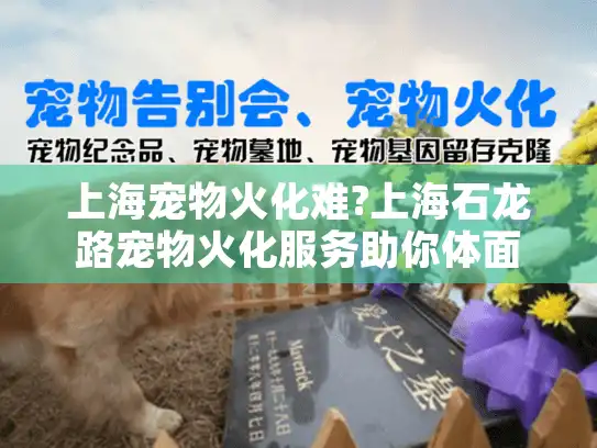 上海宠物火化难?上海石龙路宠物火化服务助你体面送别爱宠