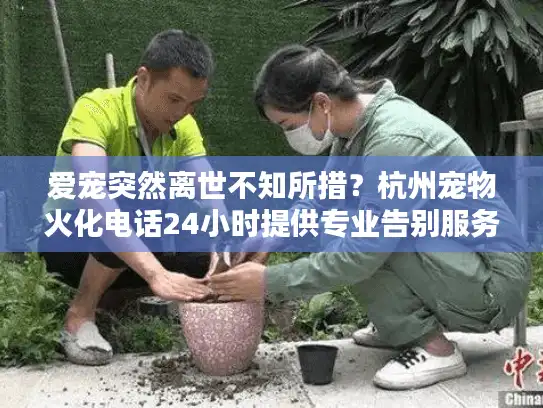 爱宠突然离世不知所措？杭州宠物火化电话24小时提供专业告别服务