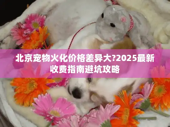 北京宠物火化价格差异大?2025最新收费指南避坑攻略